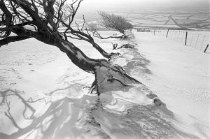 Looking south-west from Five Barrows under snow by James Ravilious