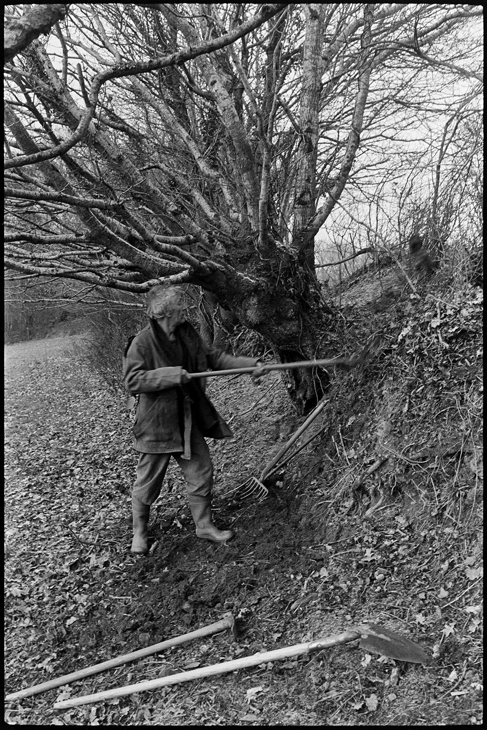 Man clatting building up old hedgebank, sitting in shelter of corrugated iron. 
[Fred Moule clatting or building up a hedgerow with turf, using a spade, in a field at Woolridge, Dolton. A fork and another spade are laid on the ground nearby.]