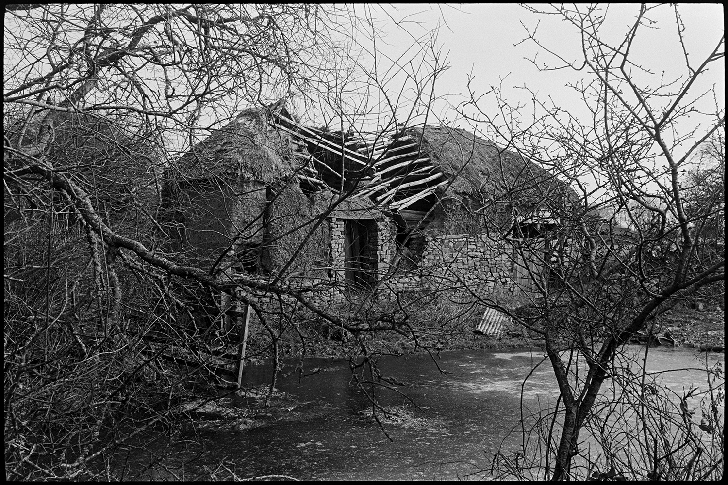 Ruined cob and thatch barns, flooded stream. 
[A collapsing cob, stone and thatched barn by a flooded stream in a field at Middle Week, Iddesleigh. The roof timbers of the barn are exposed.]