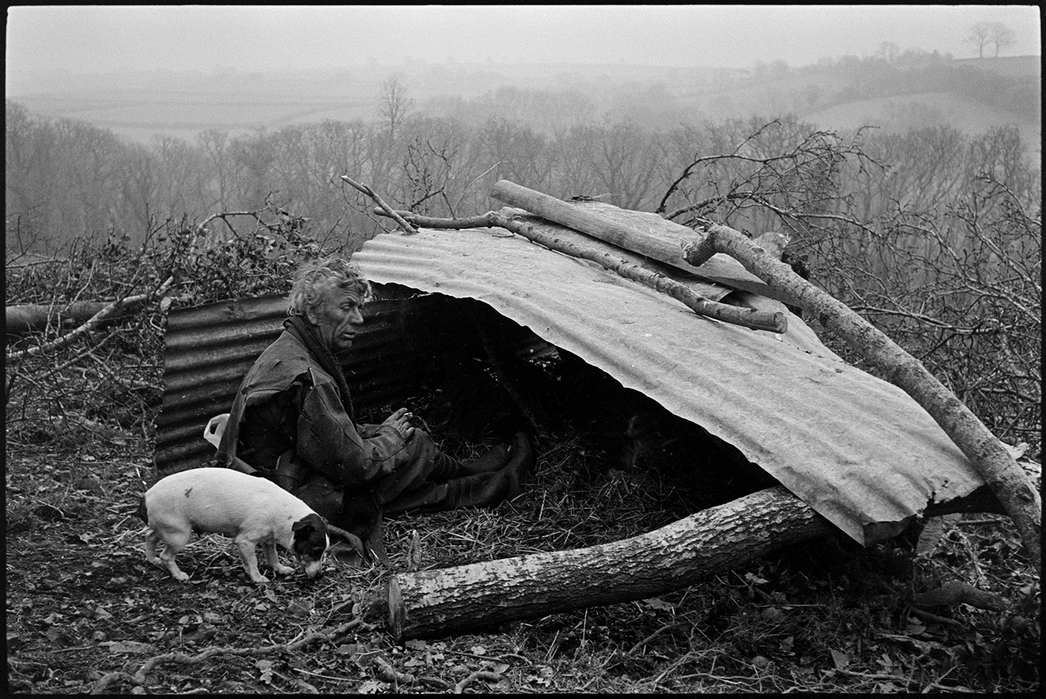Hedger and dog resting beside corrugated iron shelter having tea break.
[Fred Moule resting with his dog next to a corrugated iron shelter he had made at Woolridge, Dolton, after hedging.]