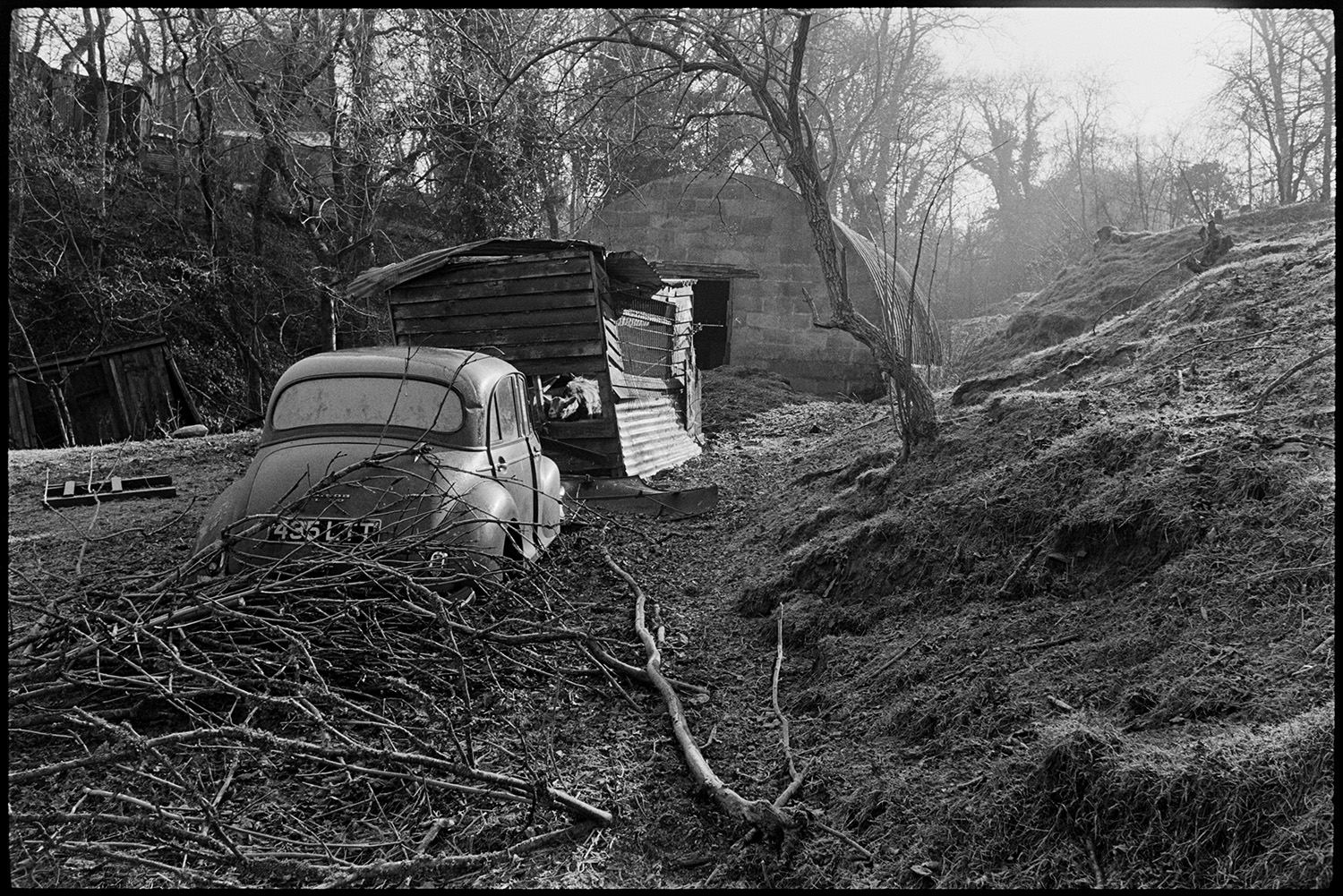 Smallholding with old car used for poultry and old shed. 
[A collapsing wooden shed, nissen hut and an old Morris Minor car, which is being used as a poultry house, in a small clearing surrounded by trees at Millhams, Dolton. A small pile of branches is visible in the foreground by the car.]