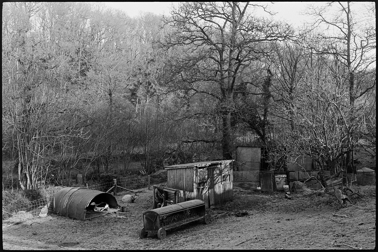 Smallholding with old car used for poultry and old shed. 
[Wooden sheds, corrugated iron sheds, a feeder and a sheep amongst trees in a smallholding at Millhams, Dolton.]