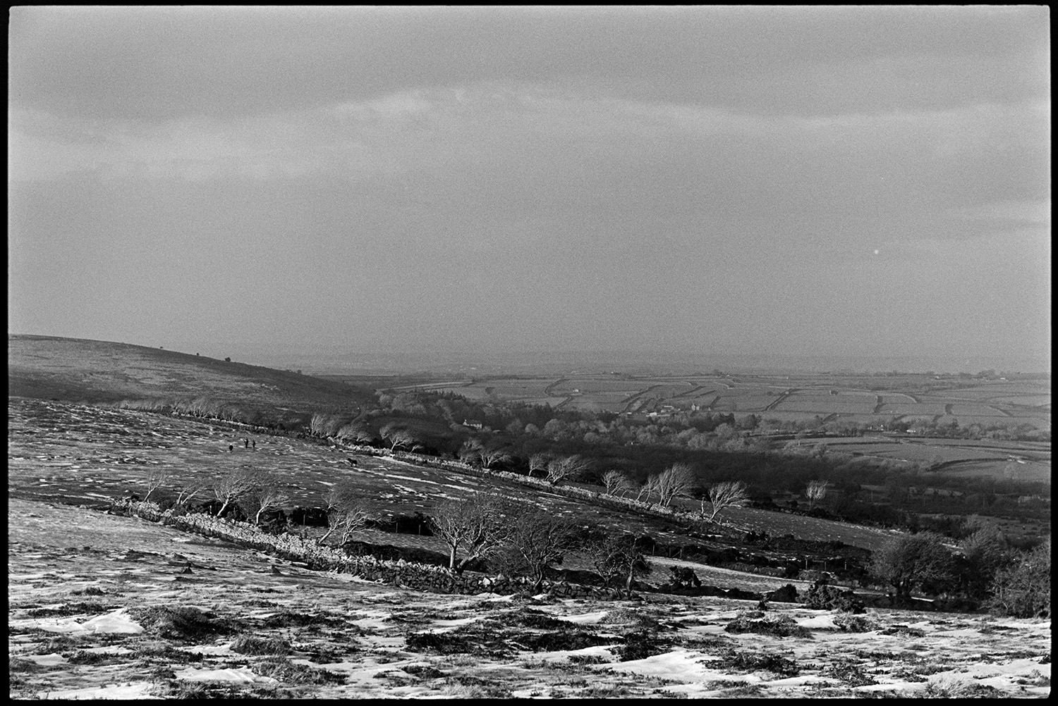 Snow, moorland view with stone wall. 
[Sow covered moorland near Gidleigh on Dartmoor. Dry stone walls and trees are visible with a landscape of Fields and hedgerows in the background.]