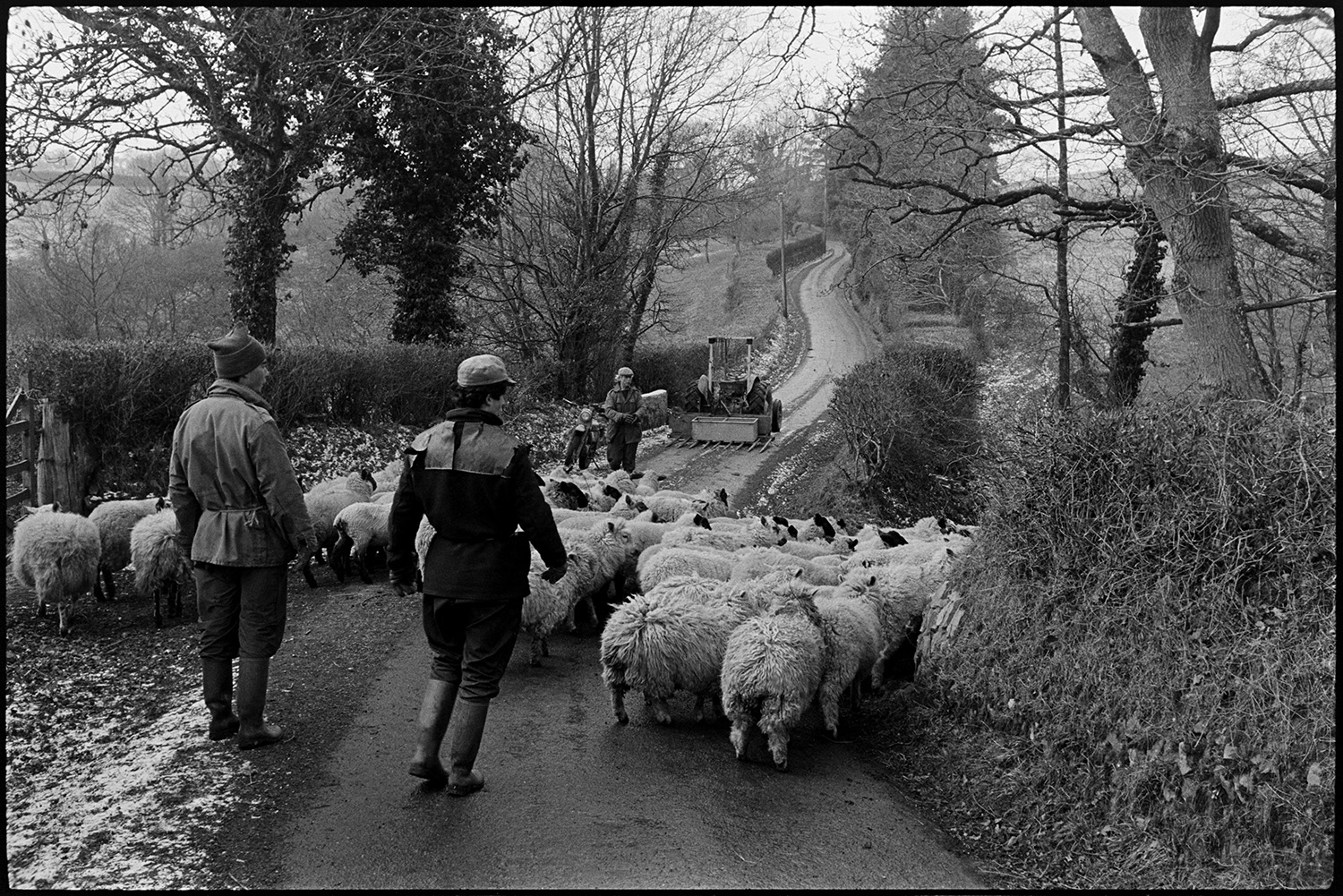 Farmers rounding up and checking sheep in pen. 
[Mr Banbury and two other men herding a flock of sheep into a pen in a field from a road at Westpark, Iddesleigh. There is a light dusting of snow on the ground. And a tractor is parked further down the road.]