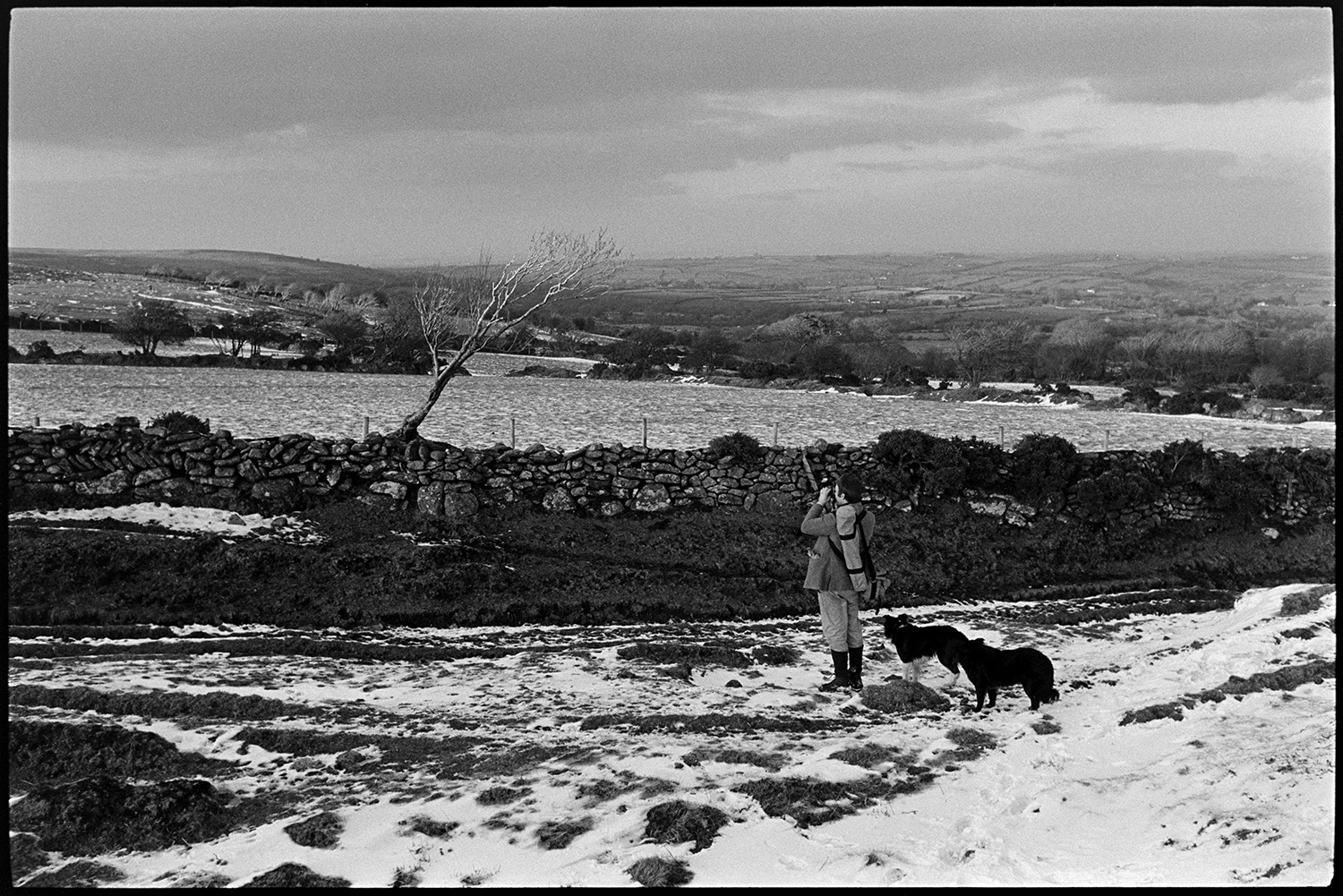 Snow on moor, man with dogs. 
[Chris Chapman taking a photograph o a view near Gidleigh on Dartmoor with a dry stone wall, trees and snow covered fields. He is accompanied by two dogs.]