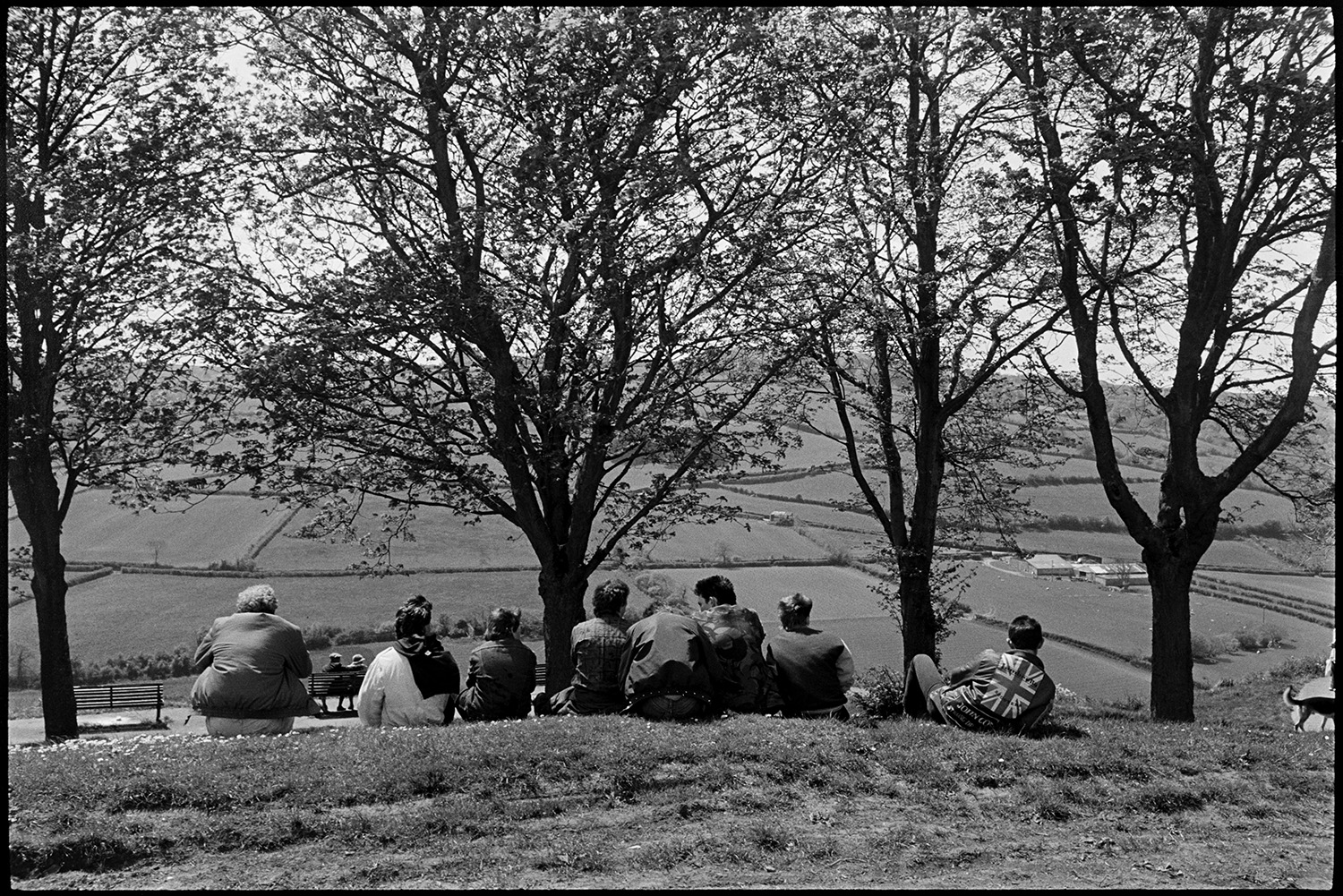 Boys in park just after leaving school. 
[A group of teenage boys sat in Castle Hill Park at Torrington, overlooking a landscape of fields, hedgerows and trees. One of them is wearing a jacket with a union jack motif.]