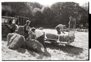 Haymaking by James Ravilious