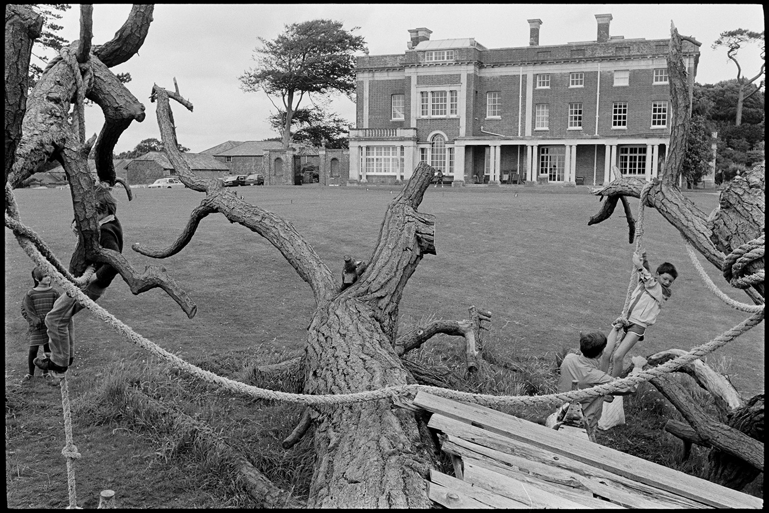 Park of stately home, house and climbing tree, tree house with tunnel through centre. 
[The house, out buildings and parkland at Tapely Park, Instow. Children are playing on ropes attached to the branches of a fallen tree in the foreground.]