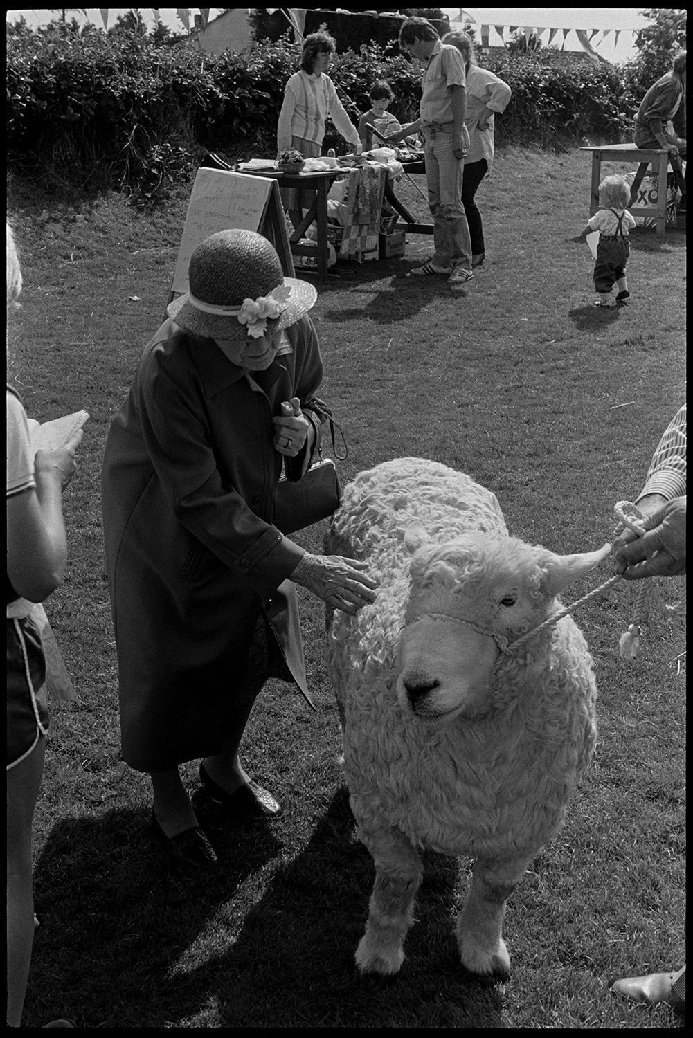 Village revel, fete, folk dance on green, stalls, jumble, guess weight of the Ram, fancy dress.
[An elderly woman with a straw hat  having a go at the 'guess the weight of the ram' competition at the Beaford Revel on the village green. The ram is being held on a holt. Stallholders, bunting and other visitors are visible in the background.]