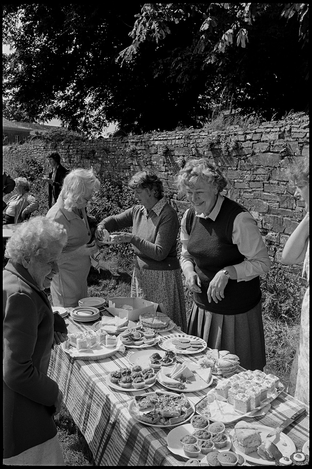 Village revel, fete, folk dance on green, stalls, jumble, guess weight of the Ram, fancy dress.
[Women serving refreshments at Beaford Revel on the village green. The table is laid with plates of cakes, buns and sandwiches. The churchyard wall is visible behind them.]