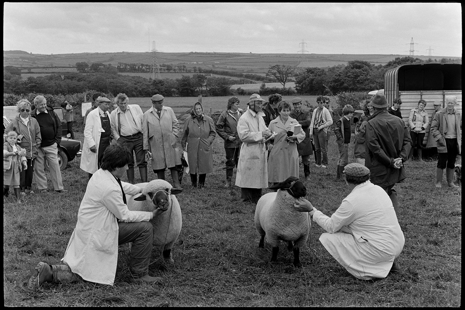 Agricultural show, judging sheep. Prize cattle in pens, spectators.
[A man judging sheep at the North Devon Show near Alverdiscott. Two men are presenting sheep in the foreground. Spectators are watching, alongside a horse box, with a landscape of fields, and trees in the background.]