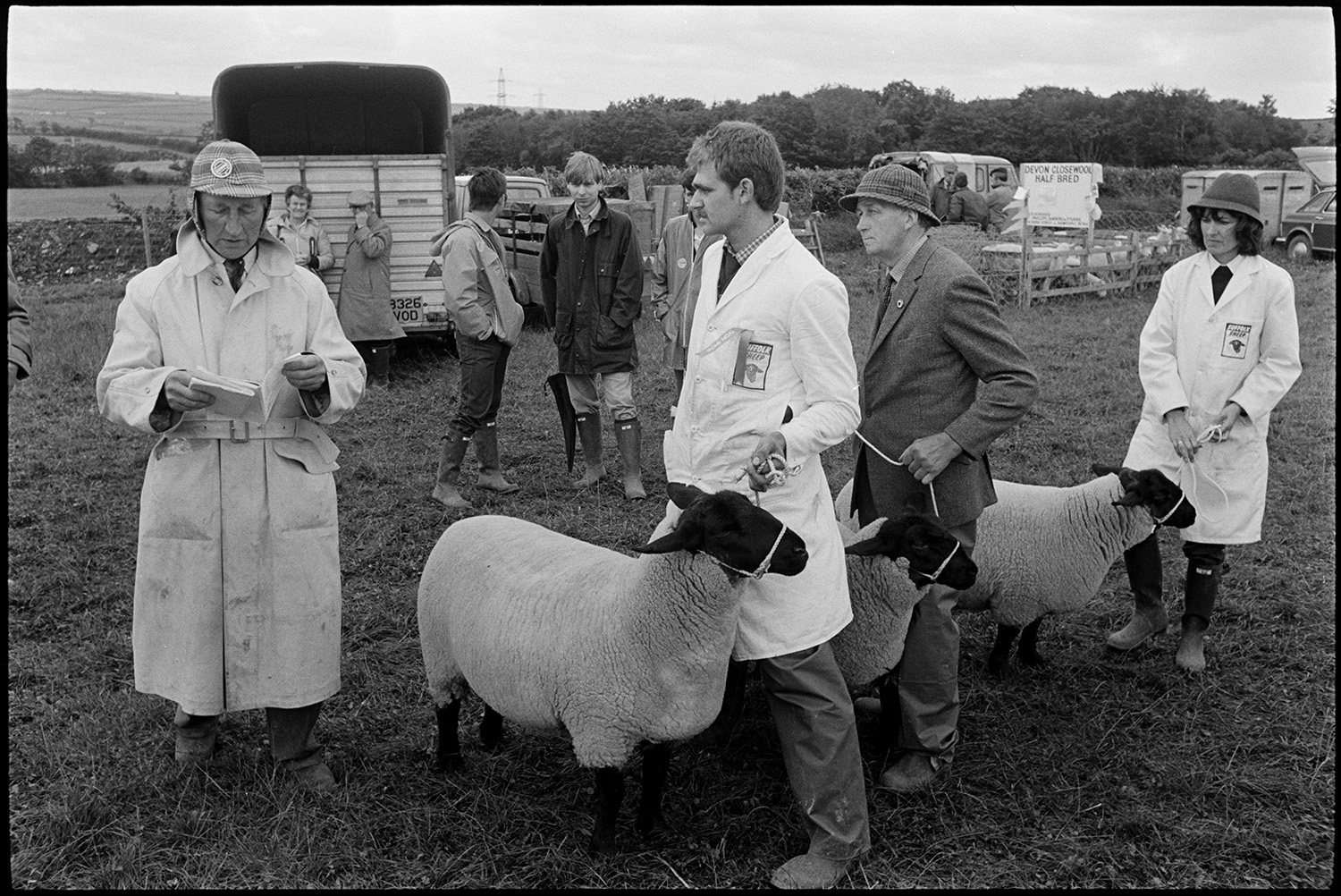 Agricultural show, judging sheep. Prize cattle in pens, spectators.
[A man judging sheep at the North Devon Show near Alverdiscott. Three black faced sheep are being shown by handlers including Nigel Allin, stood at the front. Horse boxes, trailers and pens of sheep in the background.]