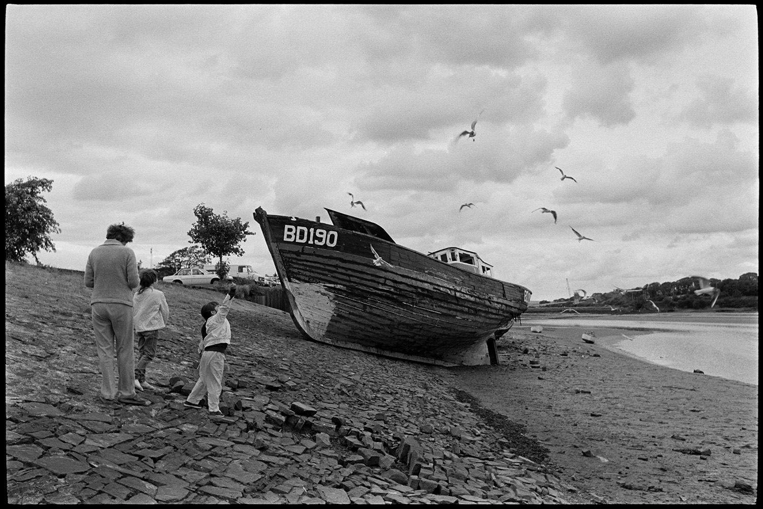 Old wooden fishing boats shortly before they were cut up, new bridge in background.<br />
[An old wooden fishing boat on the banks of the River Torridge at Bideford. A person with two children are alongside the boat with seagulls flying around in a cloudy sky. The number 'BD190' is painted on the boat.]