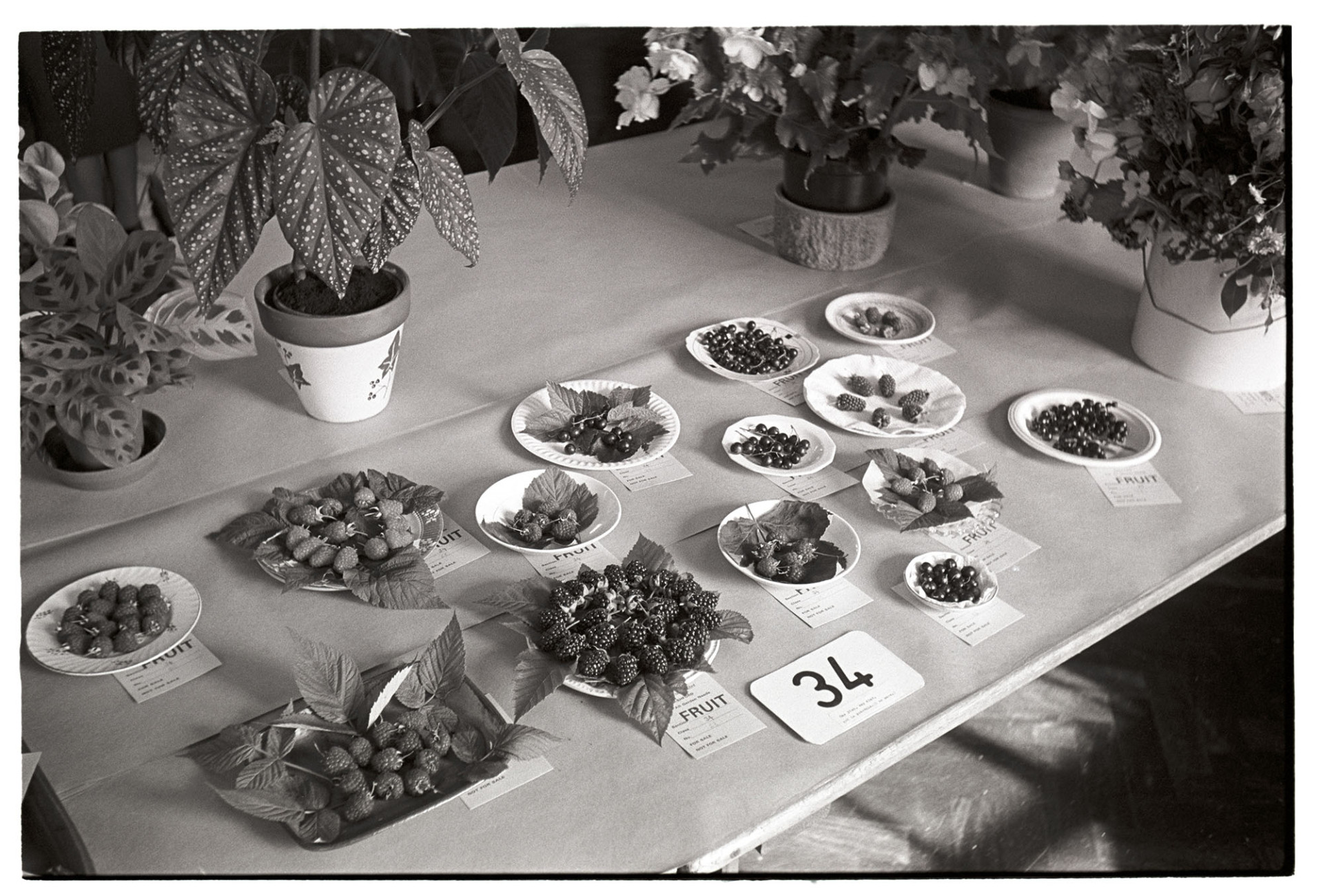 Flower show, display of fruit, strawberries and raspberries. 
[Entries of strawberries, raspberries, blackberries and blackcurrants at the Dolton Flower Show in Dolton Village Hall. Pot plants are arranged around the fruit display.]