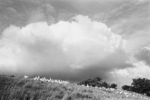 Storm cloud with geese by James Ravilious