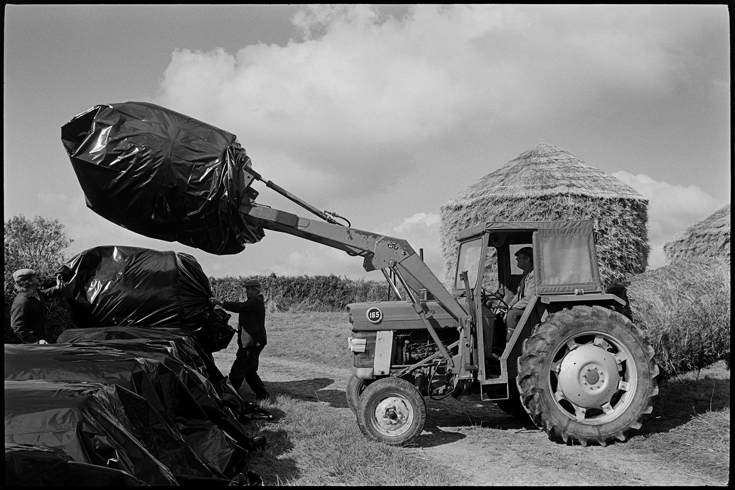 Farmer stacking large rolls of hay with tractor.
[Dudley Middleton and two other men stacking round bales wrapped in black polythene in a field at Westacott, Riddlecombe. A Massey Ferguson tractor with a forklift is loading the bales. Two wheat ricks can be seen in the background.]