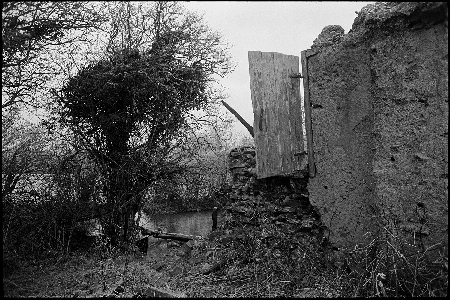 Collapsed cob and thatch barns.
[Collapsed cob and thatch barn at Middle Week, Iddesleigh, with a cob wall which still has a wooden door attached to it hanging from it's hinges. Behind the building can be seen a river.]