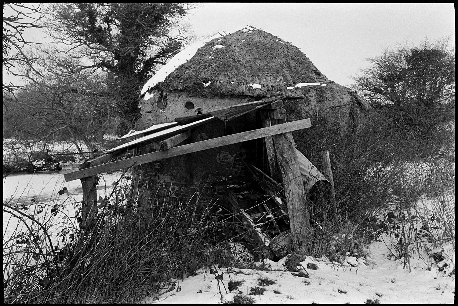 Snow, collapsing cob and thatch barns.
[A collapsed cob and thatch barn in a field covered in snow at Middle Week, Iddesleigh.]