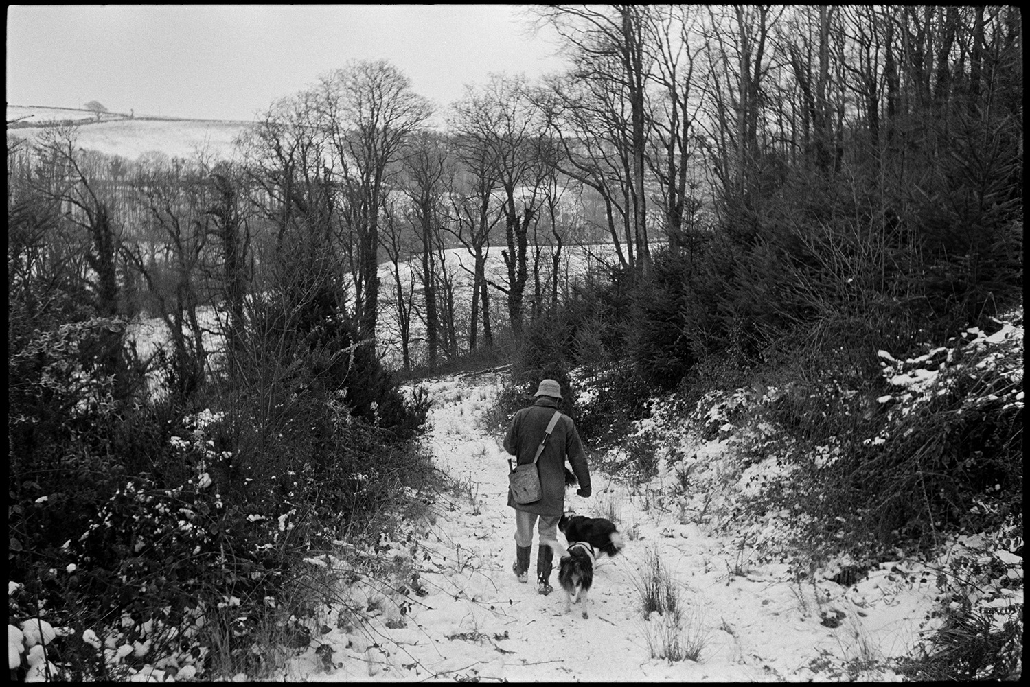 Snow, farmer and dogs breaking ice and trying to start tractor with frozen diesel fuel.
[Guy Crossman with two dogs walking along a track covered in snow at Great Warham, Beaford. In the background are trees and a view of the surrounding countryside.]