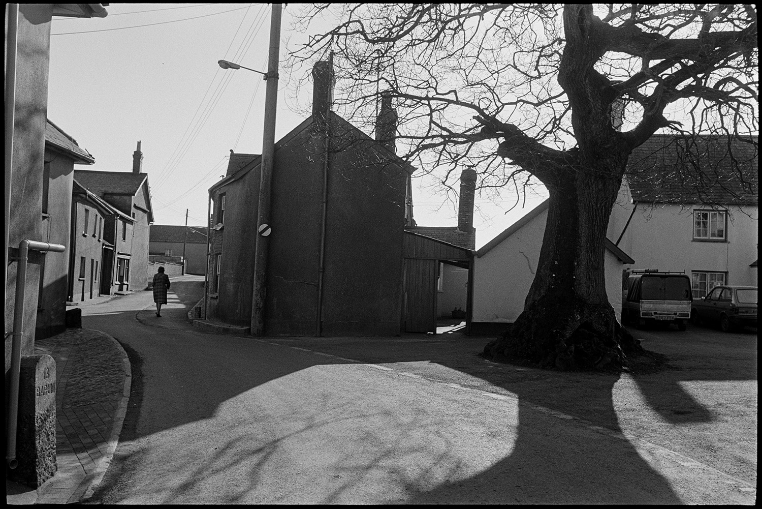Village square with oak tree mother and children in cold sunlight.
[The village square in Burrington, showing buildings, the Burrington oak tree and a woman walking along the road. The shadow of the oak tree is falling across the road.]