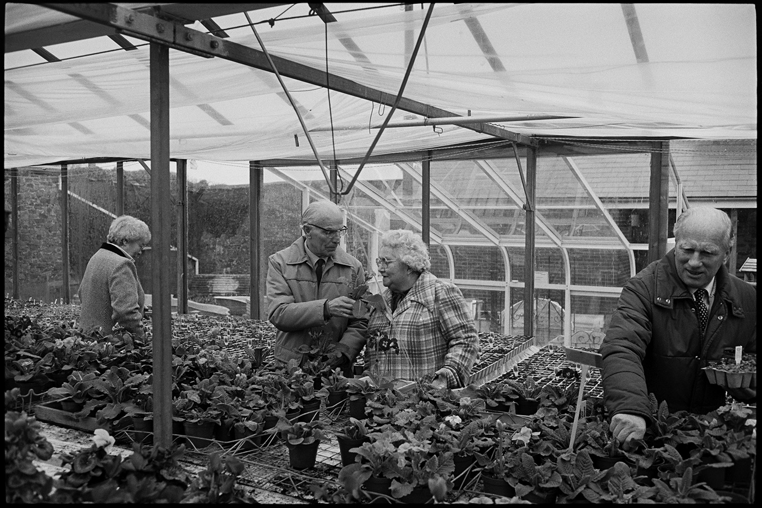 People choosing plants, flowers at garden centre.
[Two men and two women choosing plants at the Eggesford Garden Centre.]