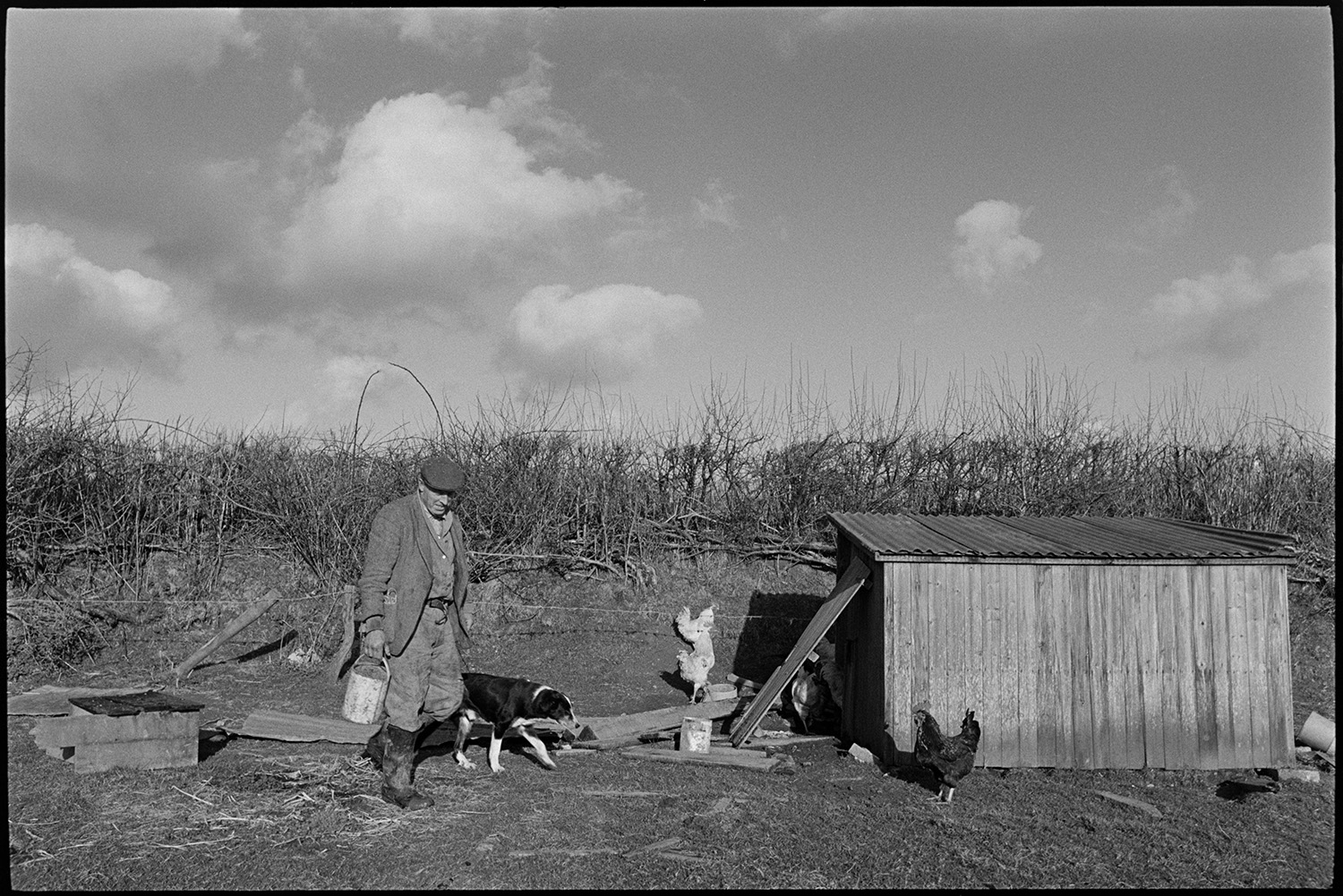 Landscapes with chickens and sheep, strange clouds, farmer.
[George Ayre feeding chickens in a field at Ashwell Farm, Dolton. They are gathered around a wooden coop by a hedge. A dog is with him and clouds can be seen in the sky above.]