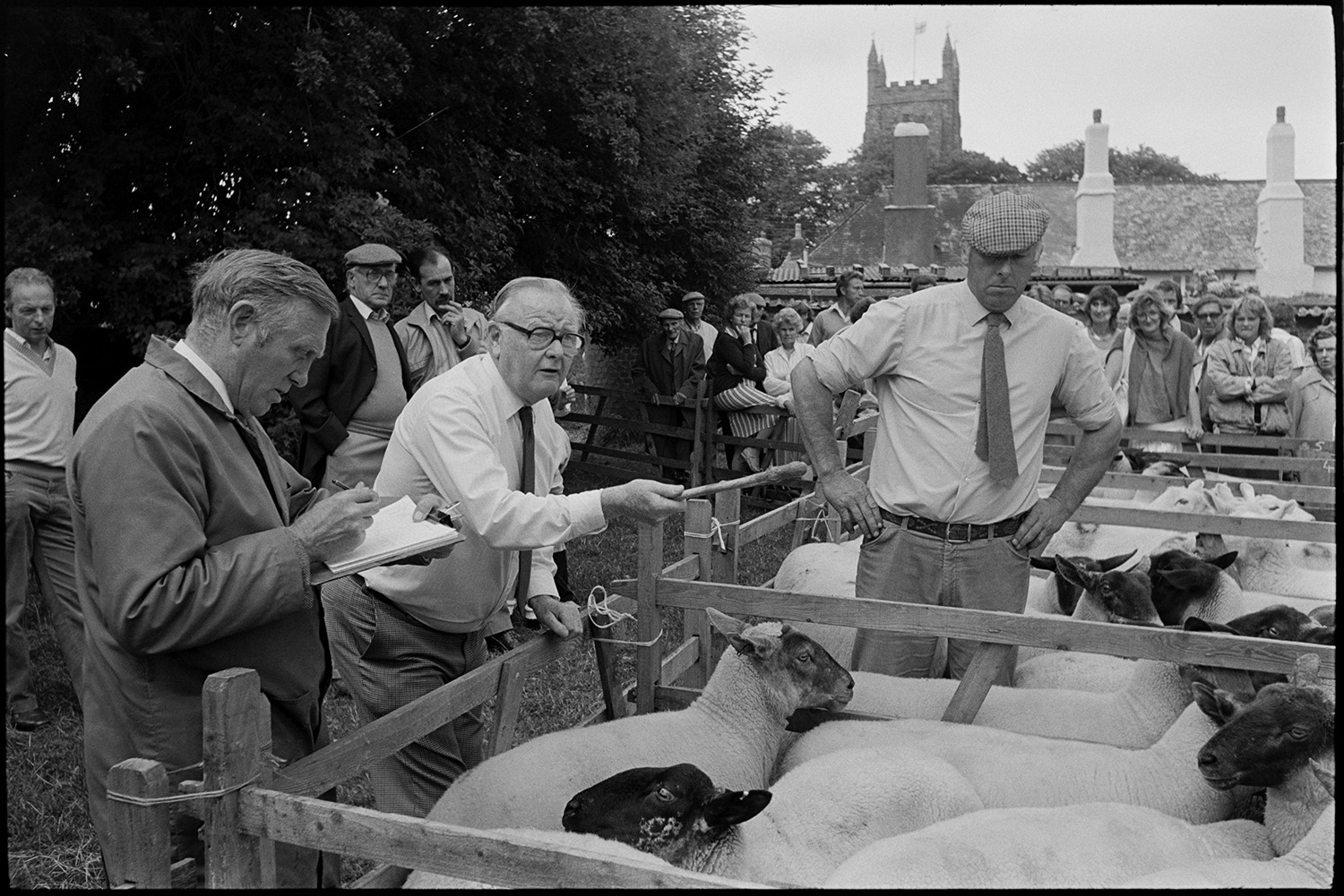 Sheep sale at fair, onlookers and vicar chatting to crowd.
[Men and women gathered around pens of sheep watching an auctioneer and his clerk at a sheep sale at Chulmleigh Fair. Chulmleigh Church tower is visible in the background.]