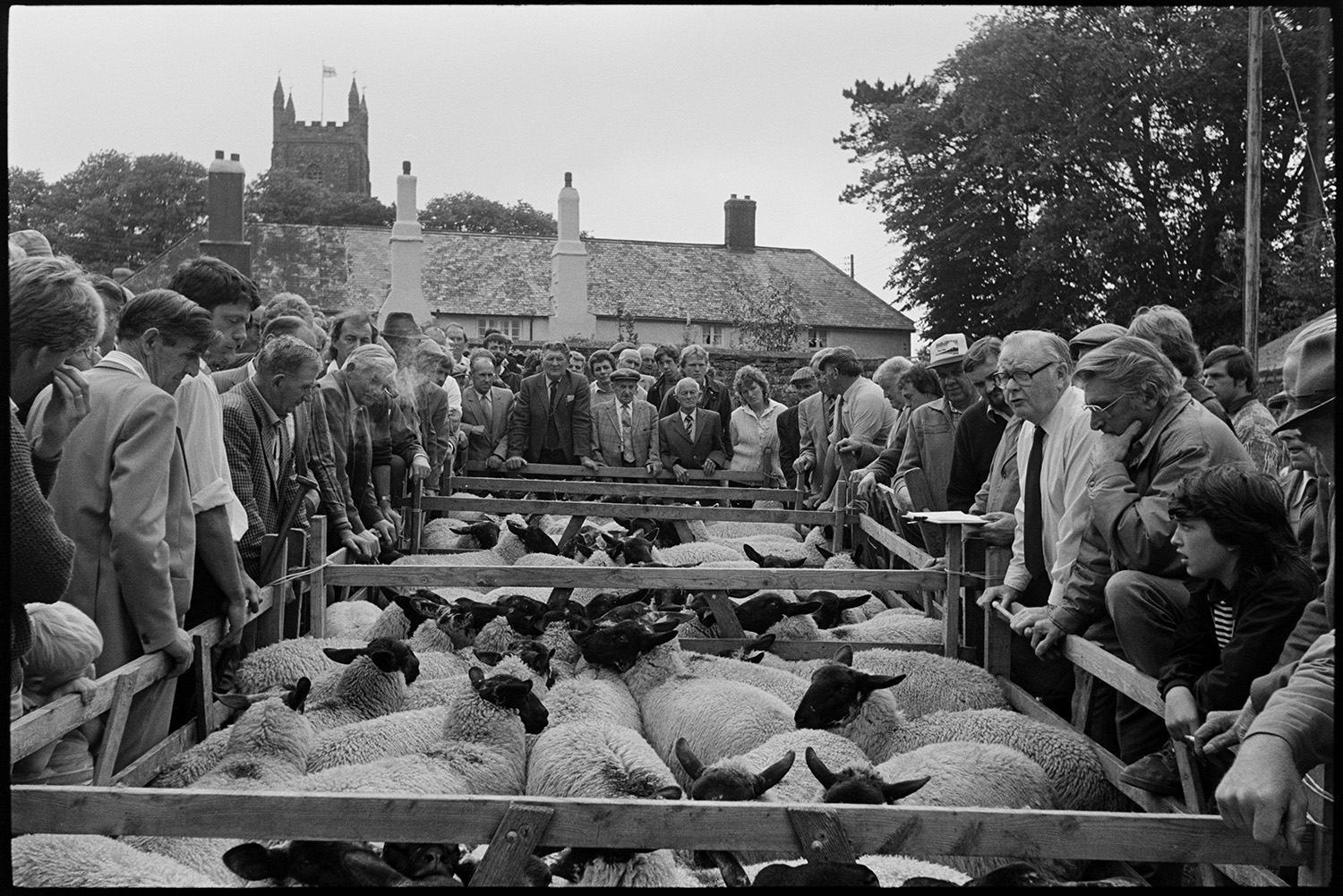 Sheep sale at fair, onlookers and vicar chatting to crowd.
[Men and women gathered around pens of sheep for the sheep sale at Chulmleigh Fair. Chulmleigh Church tower is visible in the background.]