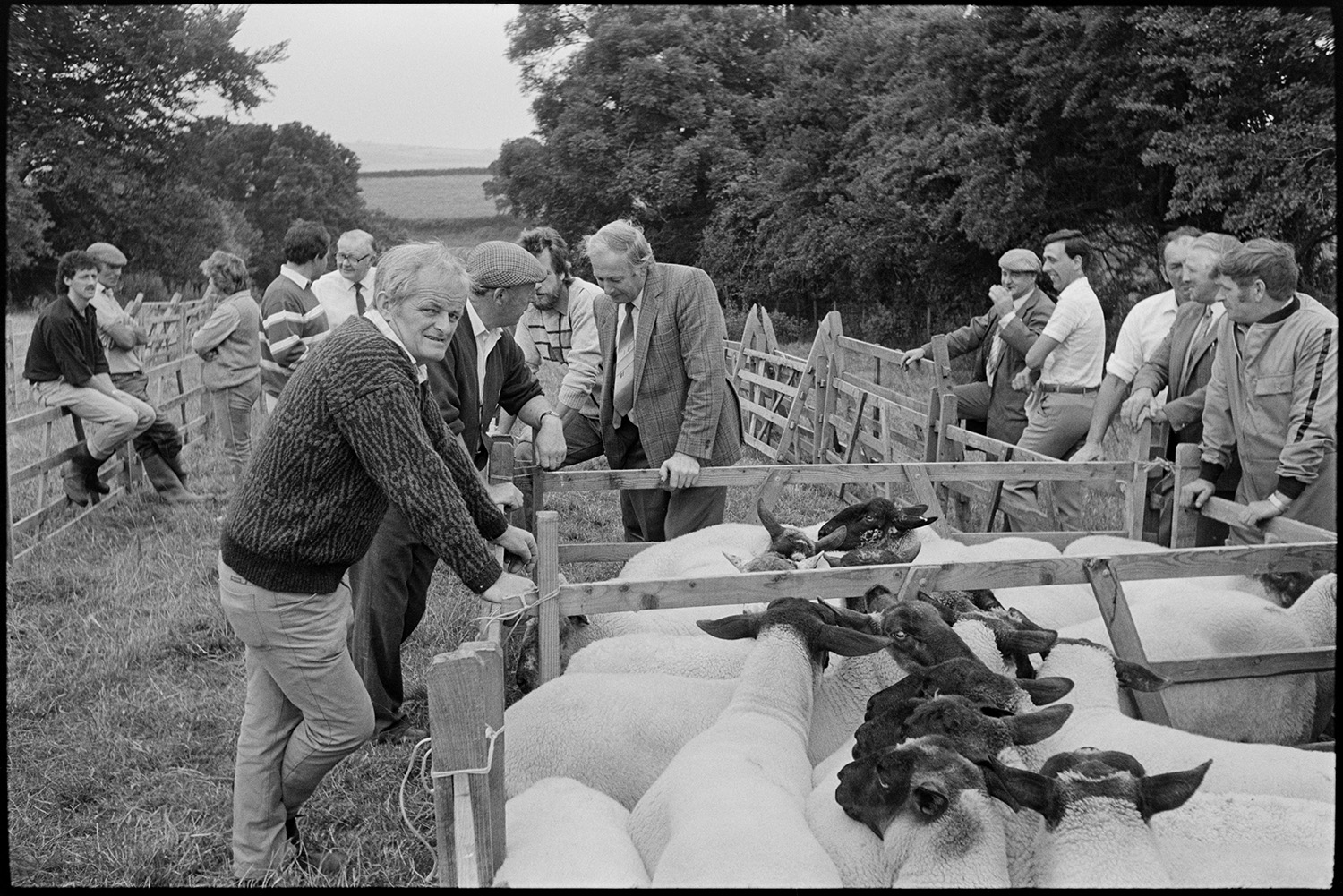 Sheep sale at fair, onlookers and farmers before start of sale.
[Men chatting and looking over pens of sheep before the sheep sale at Chulmleigh Fair.]