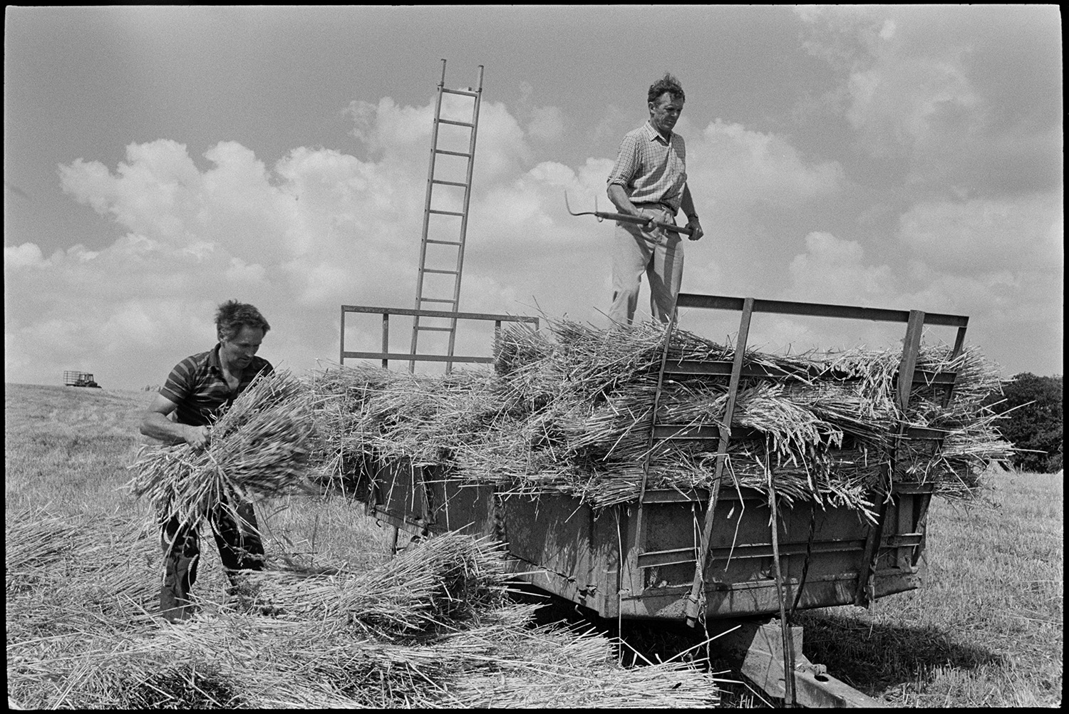 Men building wheatrick in harvest field.
[Men, possibly from the Cole family, unloading corn or wheat with a pitchfork, from a trailer, to build a wheatrick in a field at Ashreigney. A ladder is resting against the trailer.]