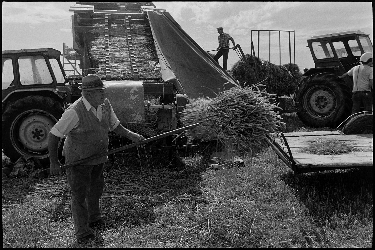 Reedcombing in harvest field men carrying nitches of wheat to reed comber.
[Men, possibly from the Down family, working with a reed comber in a field at Spittle, Chulmleigh. One man is lifting a bundle from the reed comber on to a trailer in the foreground.]