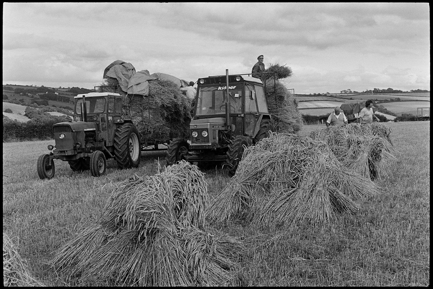 Farmers loading nitches of wheat onto trailer to be taken to reed comber. 
[Men, possibly from the Down family, loading bundles of wheat onto trailers in a field at Spittle, Chulmleigh.]