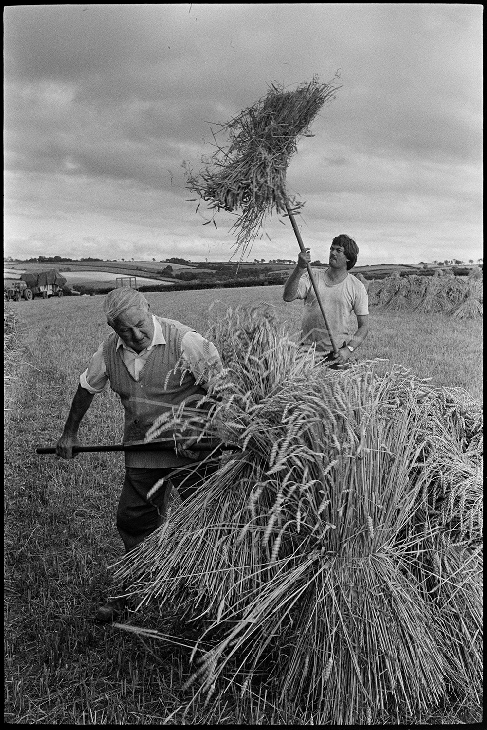 Farmers loading nitches of wheat onto trailer to be taken to reed comber. 
[Men, possibly from the Down family, carrying bundles of wheat on pitchforks to load onto a trailer in a field at Spittle, Chulmleigh.]