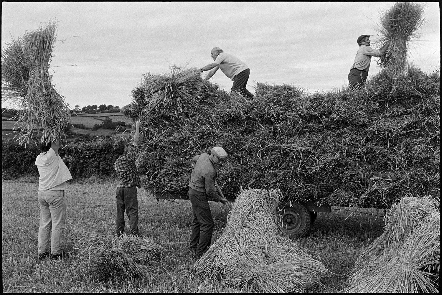 Men loading nitches of wheat onto trailer, resting on their pitchforks. Farmer on motorbike. 
[Men, possibly from the Down family, loading bundles of wheat onto a trailer in a  field at Spittle, Chulmleigh.]