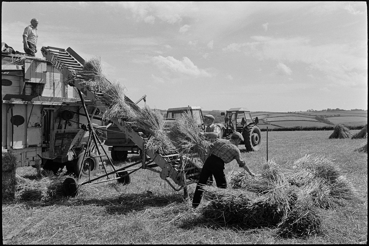 Reedcombing, farmers putting nitches of wheat on elevator to reed comber. 
[Men loading bundles of wheat onto an elevator to be processed by a reed comber, in a field at Spittle, Chulmleigh.]