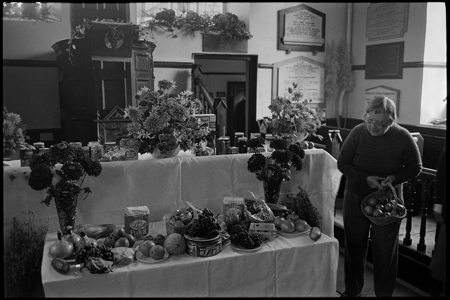 Congregational chapel interior with people decorating for Harvest Festival and having tea. 
[A woman carrying a basket of apples to add to a display of produce and flowers for the Harvest Festival at Chulmleigh Congregational Church. The pulpit can be seen behind the display.]