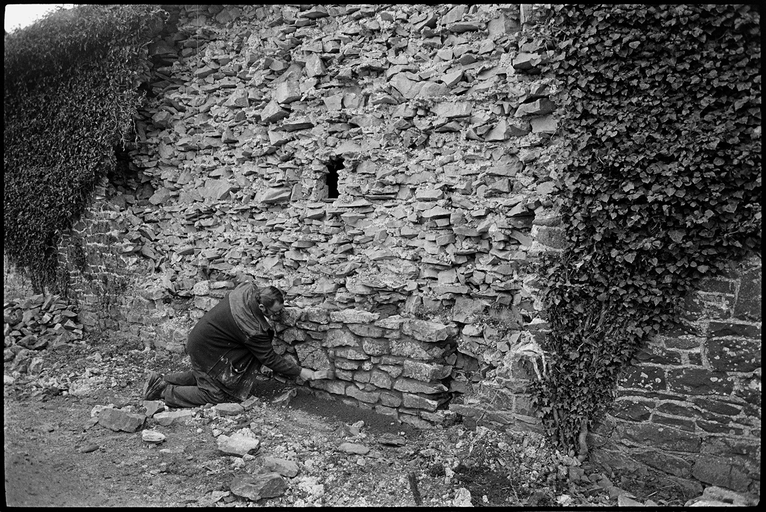 Man repairing stone wall of barn which had collapsed.
[A man repairing the large stone wall of a barn near Coldridge. Ivy is covering much of the wall.]