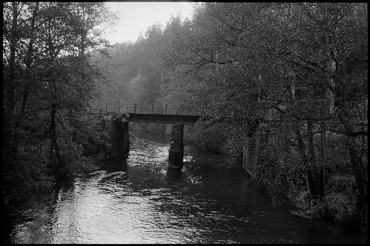 Railway bridge over river, men repairing bridge, walkway.
[A railway bridge, with stone pillars and metal railings, over the River Taw near Eggesford. The wooded slopes of the Taw valley are in the background.]