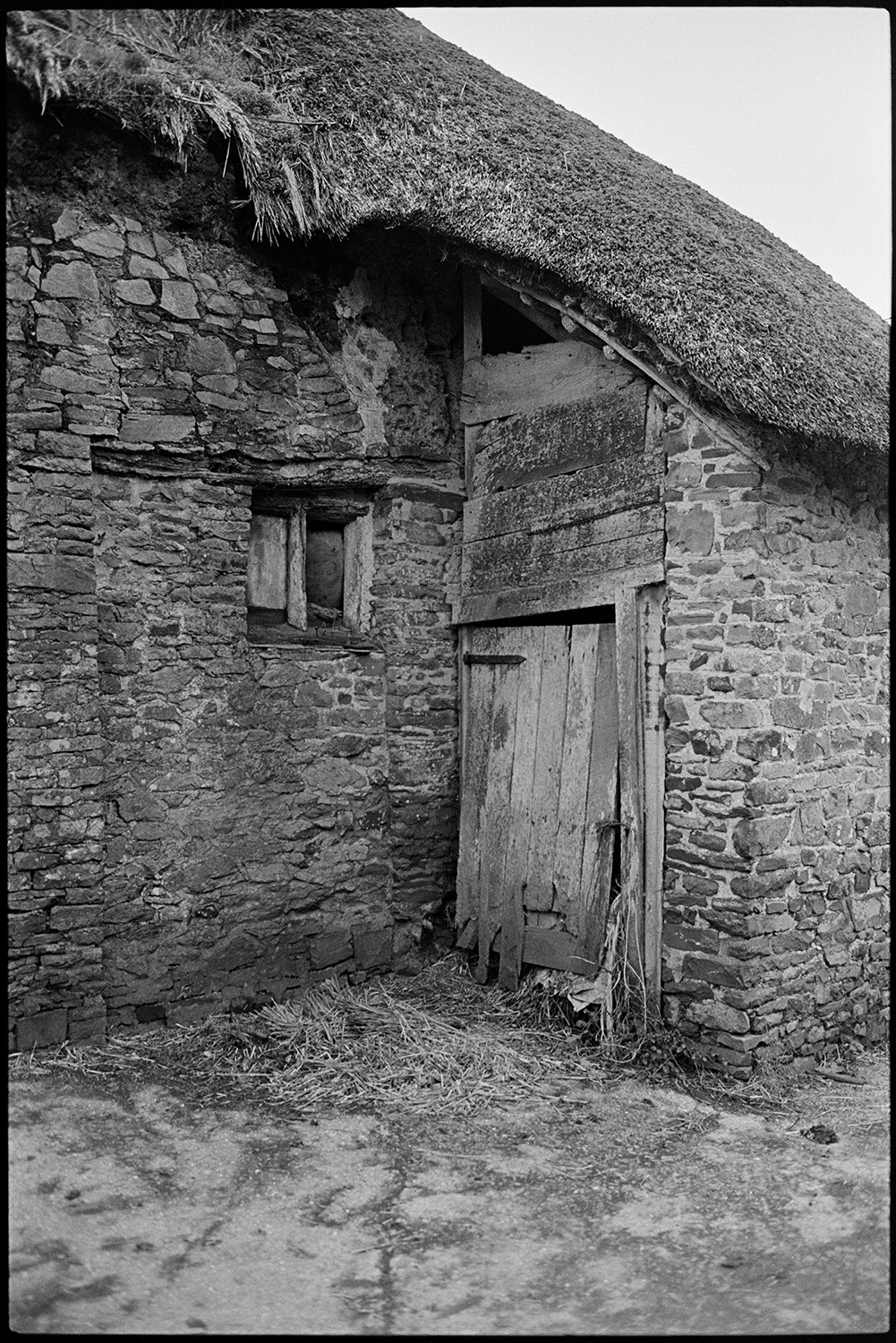 Back of derelict farmhouse stone, cob and thatch. Front in state of collapse, window.
[The back of a derelict stone and thatch cottage with a wooden door and small window, at Mary Week, near Chulmleigh.]