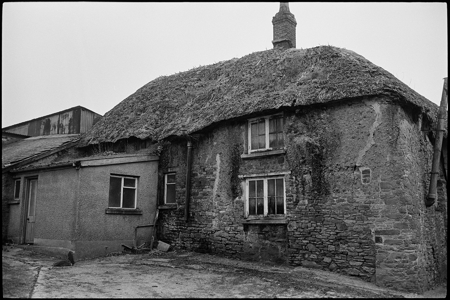 Back of derelict farmhouse, stone, cob and thatch. Front in state of collapse, window.
[The back of a derelict cottage at Mary Week, near Chulmleigh. It is constructed of cob, stone and thatch with a concrete block outhouse, and corrugated iron barns in the background.]