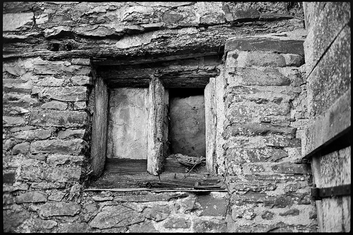 Back of derelict farmhouse stone, cob and thatch. Front in state of collapse, window.
[A small old wooden window frame set in a stone wall at the back of a derelict cottage at Mary Week, near Chulmleigh. It is covered with a board and sack.]