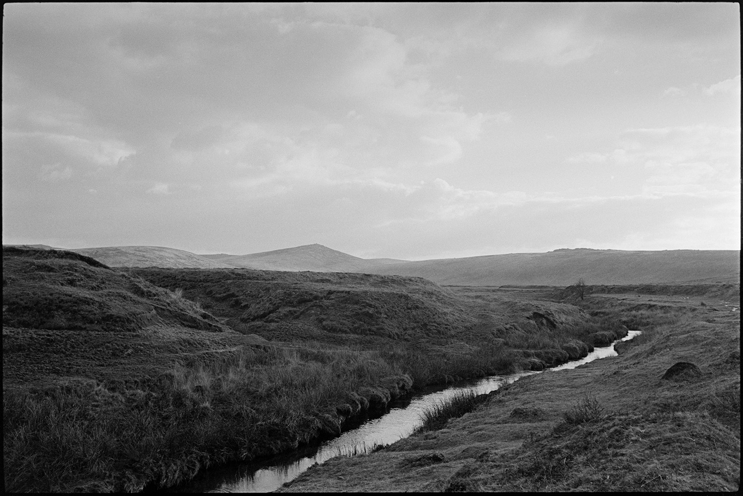 Near the source of the Taw above Belstone. Rocky stream and blasted trees.
[River Taw near its source above Belstone, Dartmoor surrounded by moorland and a view across Dartmoor.]