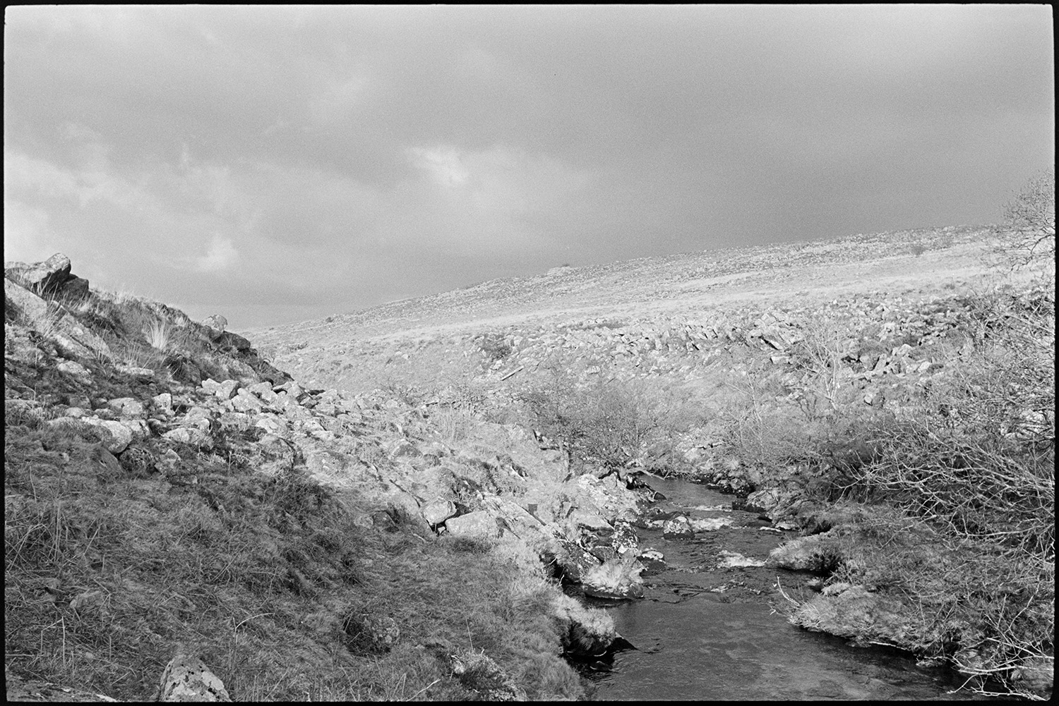 Near the source of the Taw above Belstone. Rocky stream and blasted trees.
[River Taw near its source above Belstone, Dartmoor lined with rocks in bright sunlight but with dark clouds in the sky.]