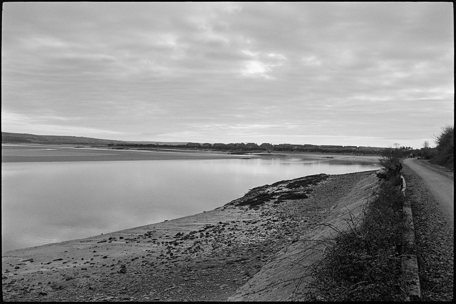 Towpath with walker and cyclist beside estuary.
[View Westwards from the towpath alongside the River Taw, near Barnstaple.]