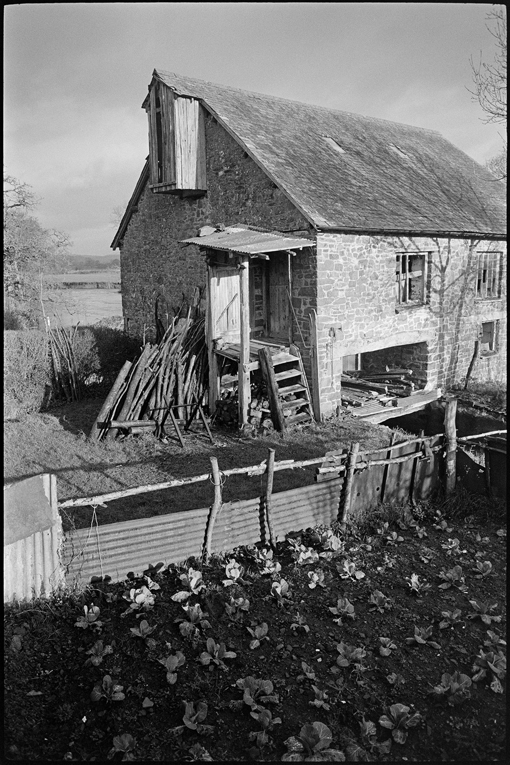 Views inside and outside of mill showing wheel and machinery and workshop. Stored nitches thatch.<br />
[Exterior view of Rashleigh Mill, Bridge Reeve, with a wood pile leaning against the end wall and a vegetable garden in front of the Mill, sectioned off with a fence made from corrugated iron sheets and branches. A set of wooden steps also leads up to the first floor of the mill.]