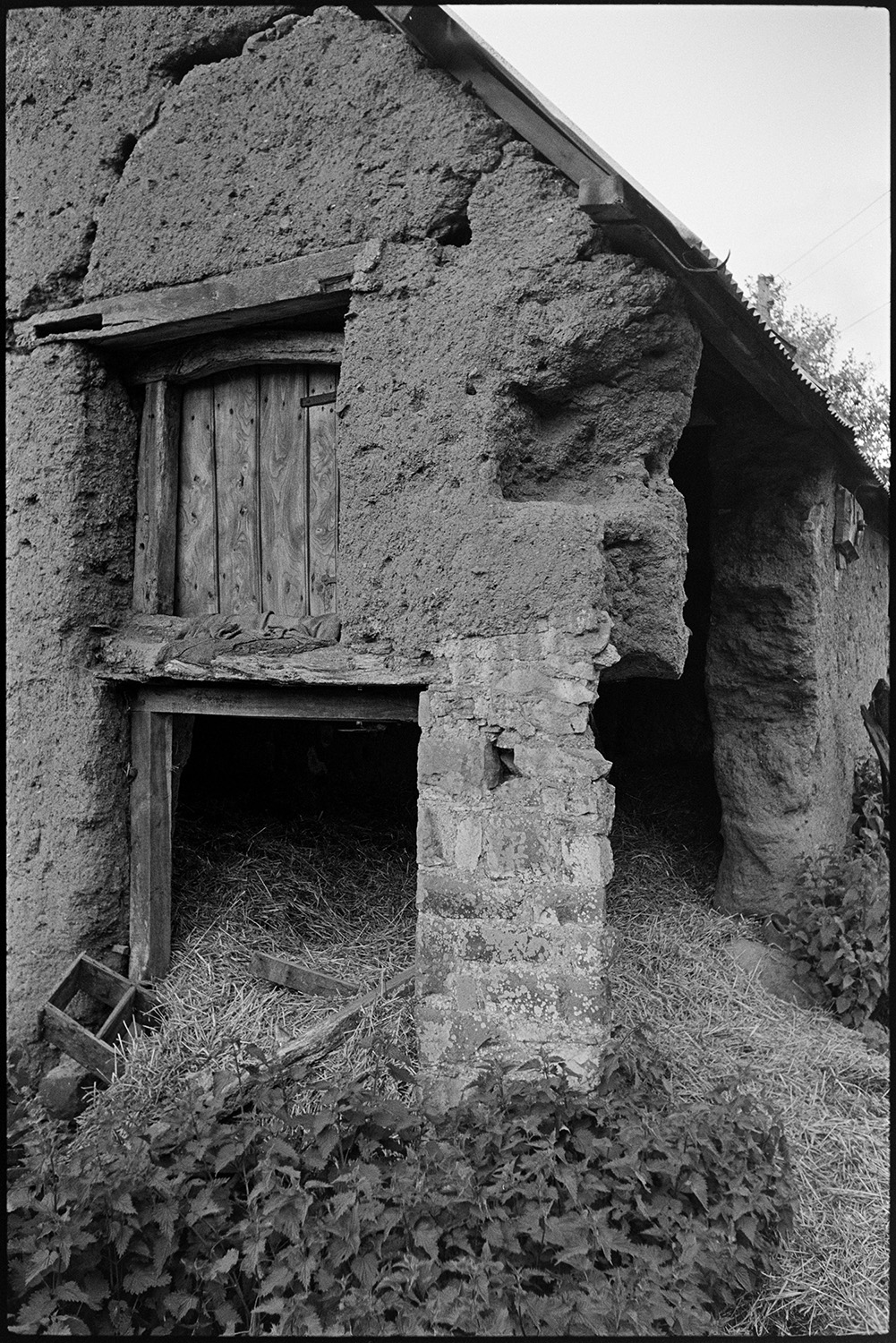 Cob barn with door and tallet in state of collapse.<br />
[Collapsing cob barn, showing the ground floor entrance and a wooden door to the tallet at Coleford. One corner of the building is supported by brickwork.]