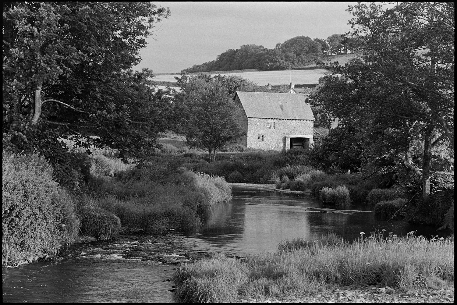 River view with old mill.
[A view of the River Taw and Rashleigh Mill surrounded by trees, near Bridge Reeve.]