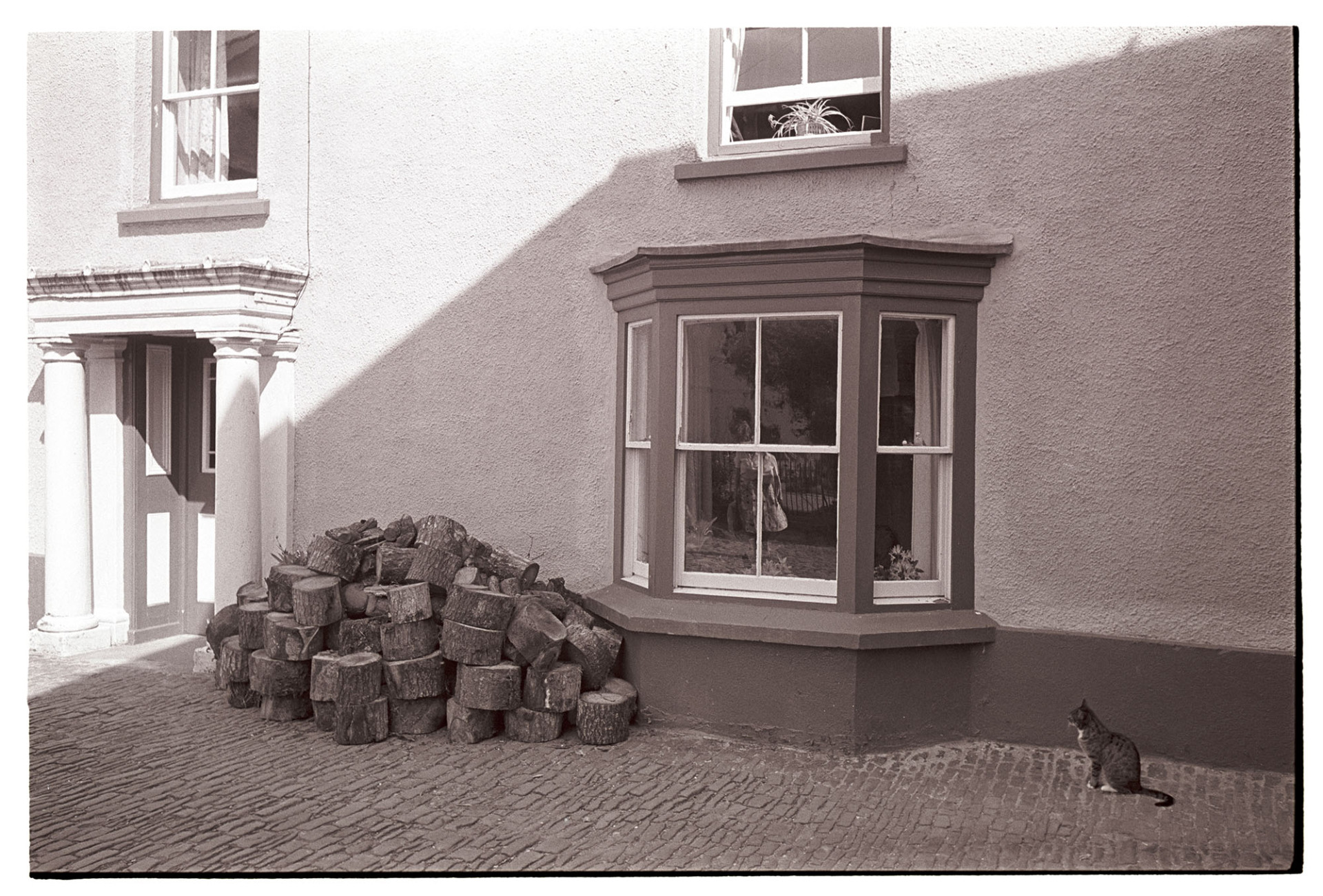 Former school house with cat looking at pile of logs CATaLOGue !!!Geddit Arggggh!!!
[A cat sat outside a house, with a bay window, looking at a pile of logs by pillars at the front door. The house was formerly the School House in Chulmleigh.]