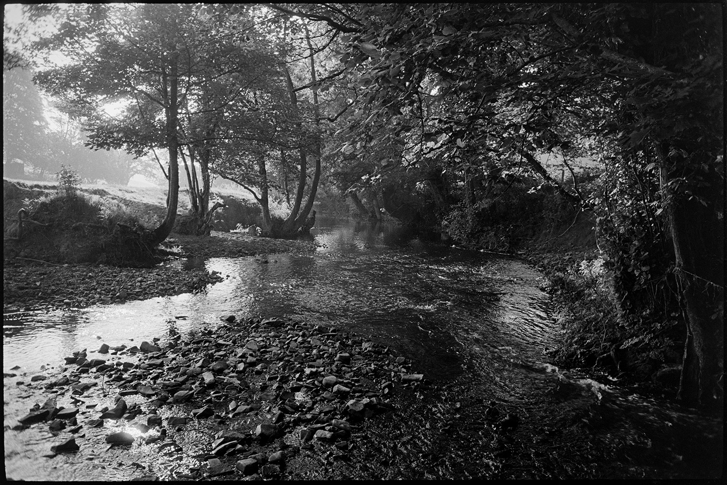 Rocky river with trees. Early morning mist.
[The River Taw with stony river bed flowing past river banks with trees at Eggesford.]