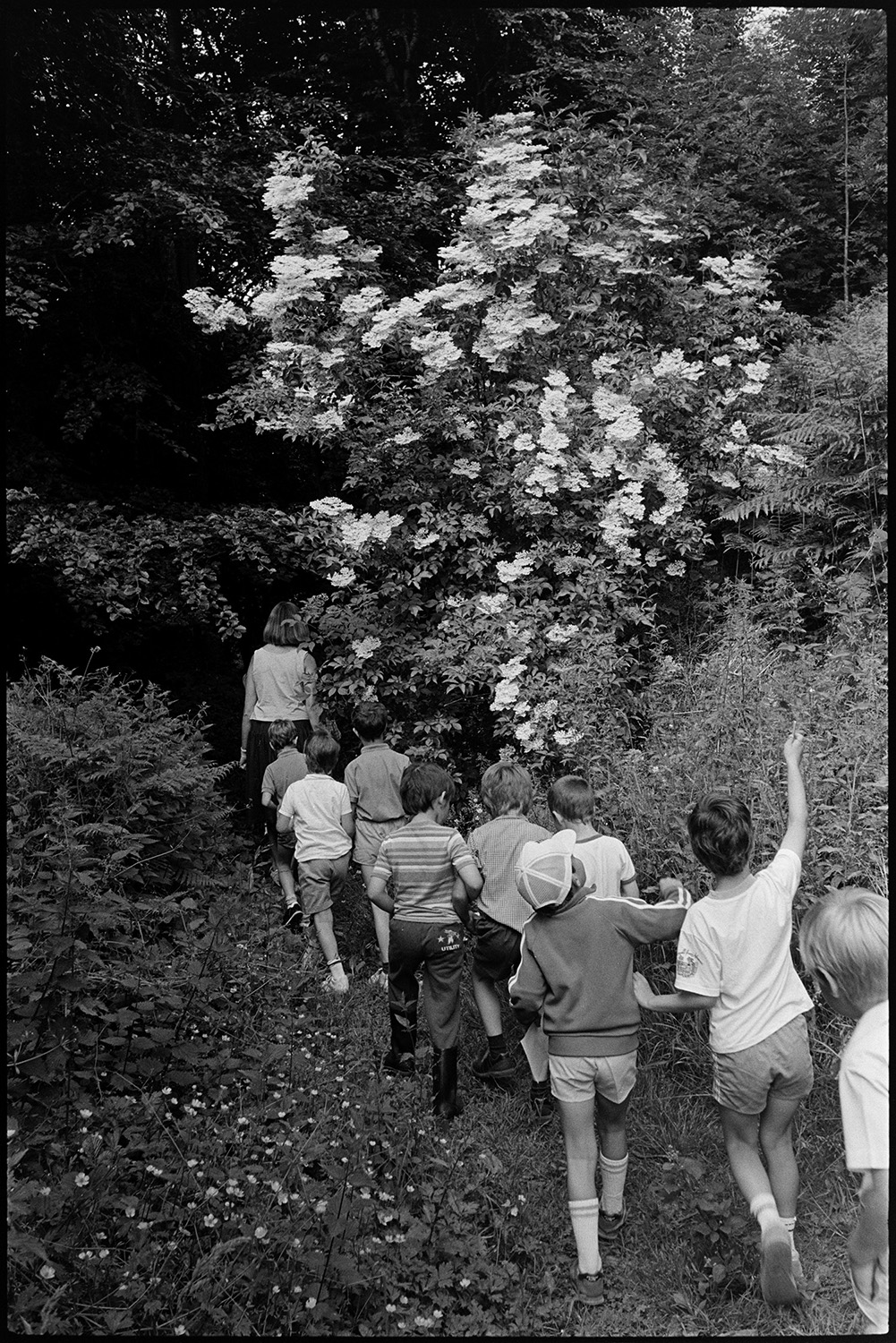 Brownies in school playground. Children in class setting off on nature walk on wood.
[Rowena Hoare, teacher at Chulmleigh Primary School, leading children on a nature walk along a path with blossom and wild flowers in Chulmleigh.]